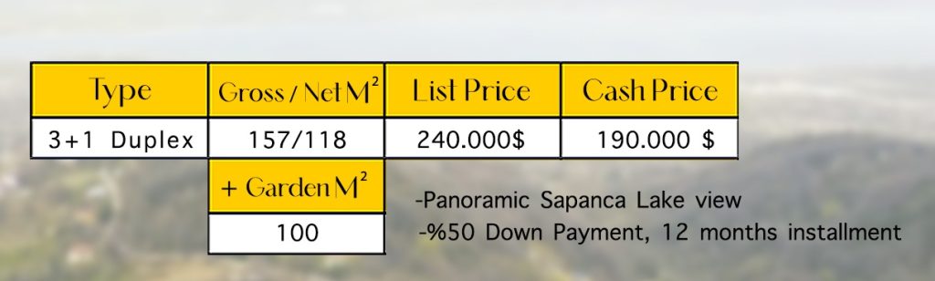 Sapanca Villa For Sale
