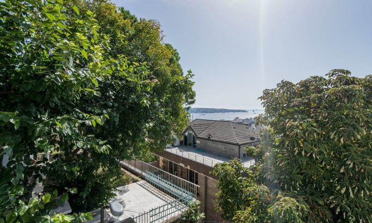 European Side Bosphorus Mansions 3