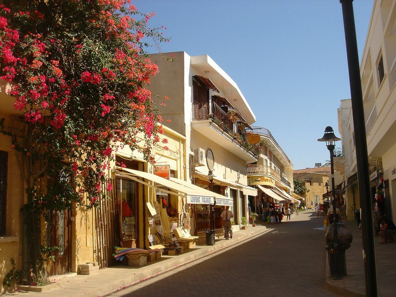 kibris