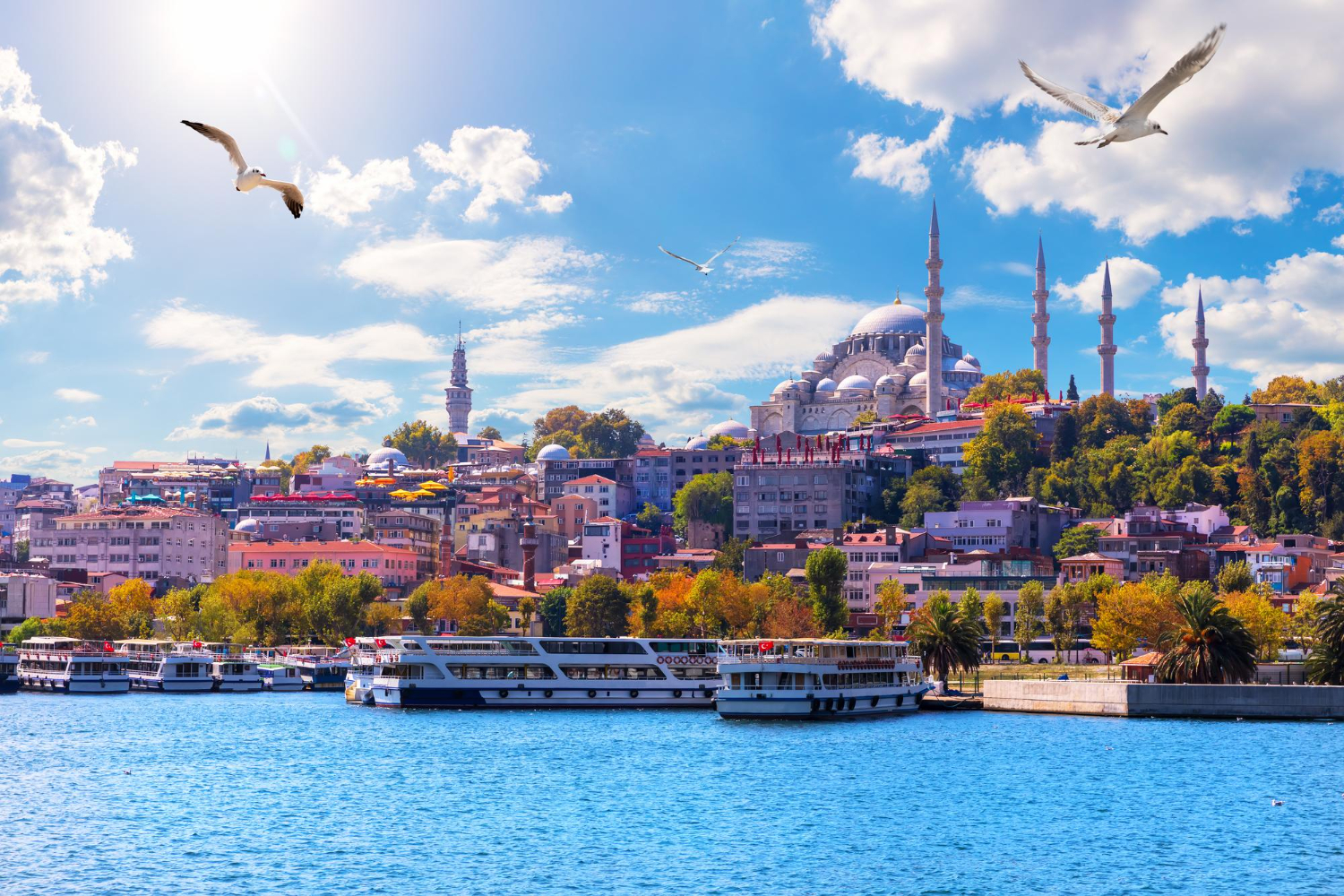 suleymaniye mosque beautiful view from golden horn inlet istanbul turkey 1