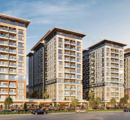 Mega Vaz Aci Sunset .04 Baski B 1