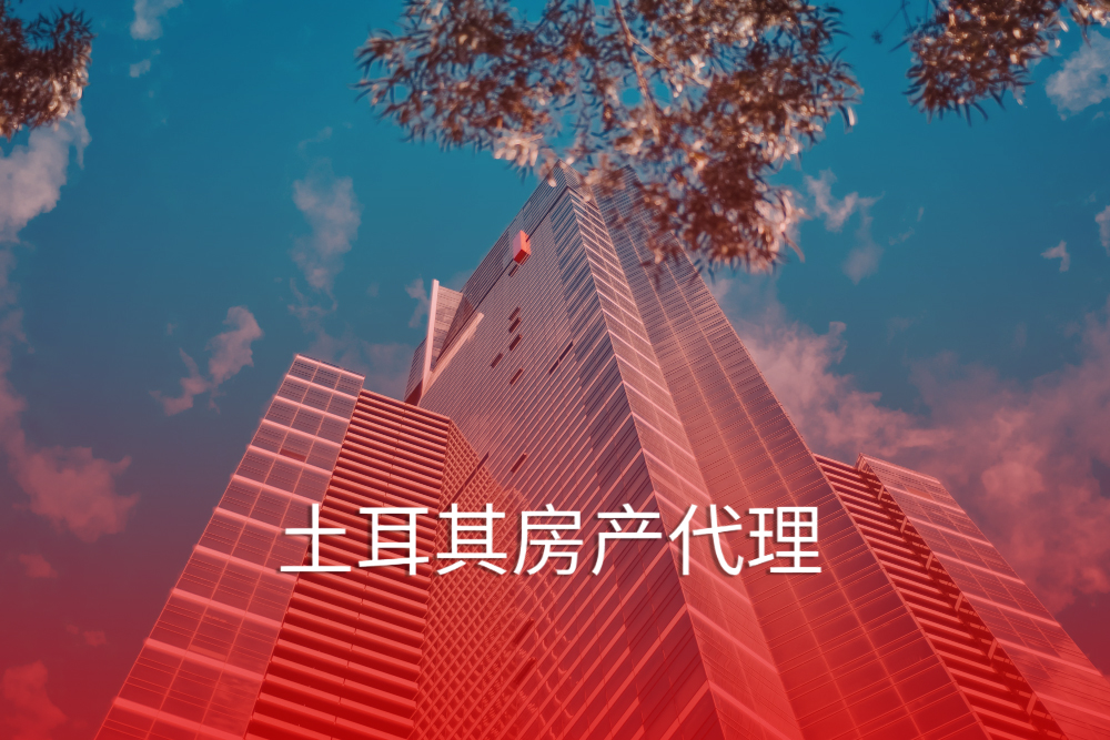 Turkey real estate agency
