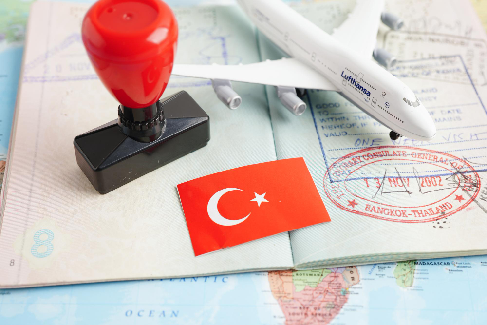 Understanding the Real Costs of Immigration to Turkey