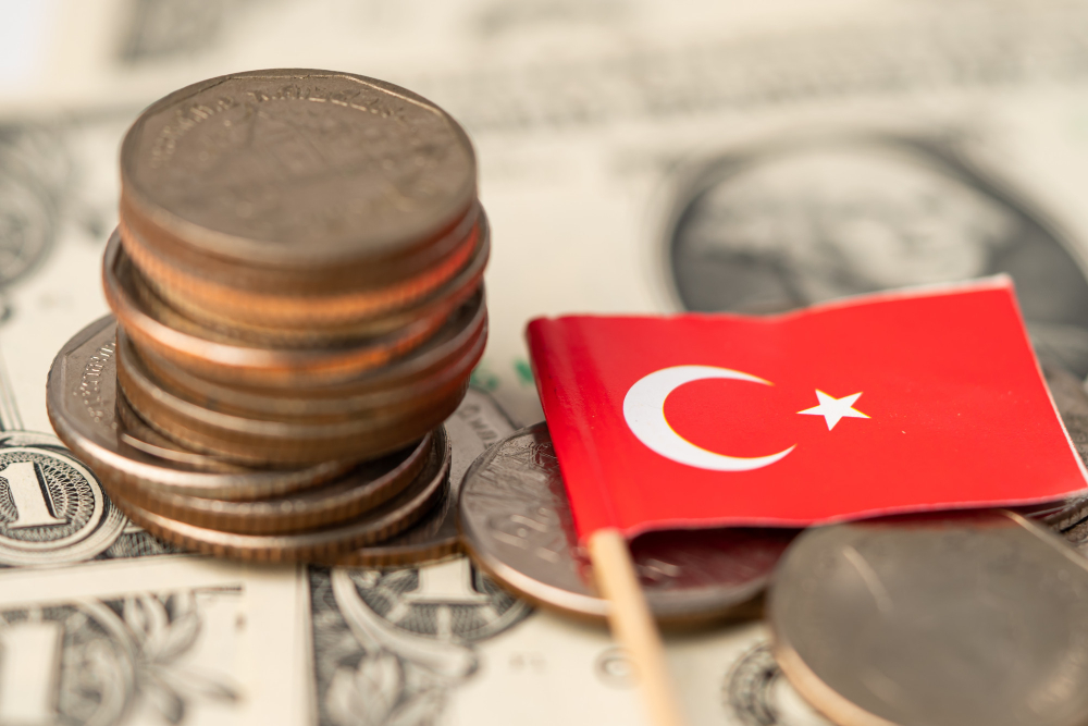 How to Apply for Turkey Citizenship by Investment
