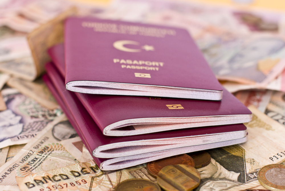 Turkish Citizenship by Real Estate How to Transfer Funds from Abroad 2026 Guide